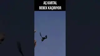 Fatma Girik'in Bebeğini Kaçırdılar 