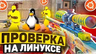 🍊 ЛИНУКС НА ПРОВЕРКЕ - Проверка Пабликов [XONE] // ПРОВЕРКА ПАБЛИКОВ CS2 🍊