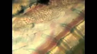 The GIANT Fractal of Possibility   God Particle to God Field    Ultra Zoom   2