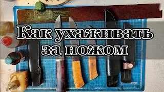 Как ухаживать за ножом  из дамасской стали ▶ и Отличное масло для Дамасской стали.