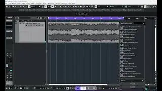 No metronome sound in Cubase Pro 13 | Neundo | Enable metronome sound |