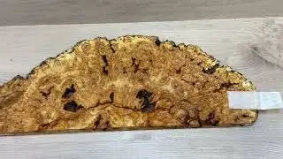 Top-1793