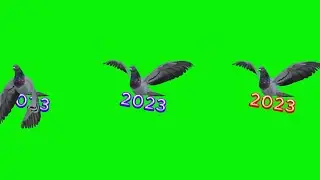 happy new year green screen video 2023 / Happy New Year fly Bird on green screen effects background