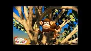 Human Body Systems Videos for Kids - Grade 1, Grade 2,Grade 3,Grade 4, Grade 5,Grade 6, Grade 7