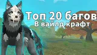 ТОП 20 БАГОВ В ВАЙЛД КРАФТ ➣WildCraft Julia Wisse