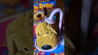 Soggy doggy funtoy 