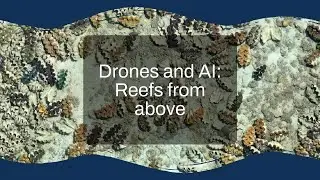 Drones and AI: reefs from above podcast