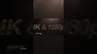 The jungle short after effect logo intro 