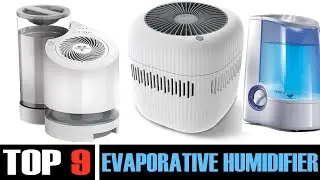 Top 8 | Easy to Use and Maintain Evaporative Humidifiers for Your Home