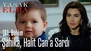 Şahika, Halit Can'a sardı - Yasak Elma 101. Bölüm