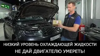 Land Rover ТЕЧЬ охлаждающей ЖИДКОСТИ. Не дай ДВИГАТЕЛЮ УМЕРЕТЬ от перегрева. Замена термостата.