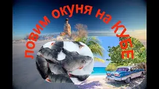 Половили окуня на Кубенском озере