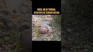 BOCIL INI BERTAHAN HIDUP DI TENGAH HUTAN SEORANG DIRI 