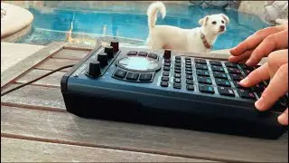 SP404 MK2 Live Set // Golden Hour Poolside Beats for the Last Rays of Summer