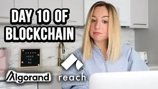 Day 10 of Blockchain | Deploy a Decentralized Application to the Algorand TestNet