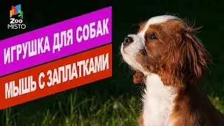 Игрушка для собак мышь с заплатками | Обзор игрушки для собак мышки с заплатками