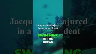 Discovering a New Passion: Exploring the Ocean's Wonders