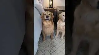I do NOT recommend this spot!