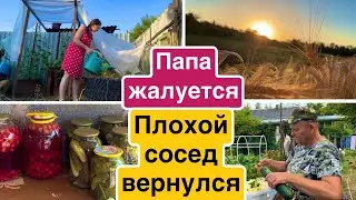 ВЛОГ Ремонт в доме / Папа жалуется / Кладём ламинат / Своими руками !