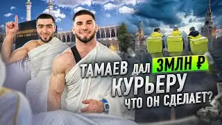 Тамаев Дал Курьеру 3 млн! На что потратит Деньги?!