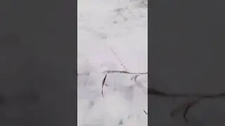 новая горка на на зимнем овраги
