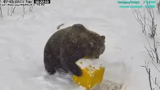 07.03.2023         