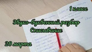 Взяла тетрадки для проверки по русскому языку
