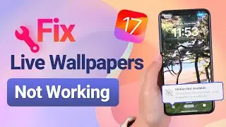 [Step-by-Step]How to Fix Live Wallpapers Not Working on iOS 17