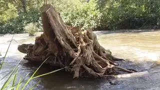 #adventure #kenya #africa #nature  #travelphotography #naturelovers THE PERFECTION OF NATURE