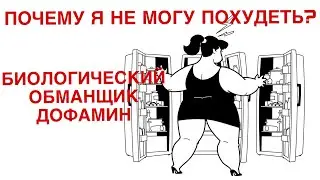 Как похудеть. Зависимость и дофамин. Худеем с психотерапевтом. Интуитивное питание