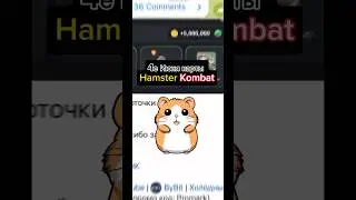 Прокачка карт на 4е Июня - Hamster Kombat 
