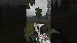 STALCRAFT HK417 жива!