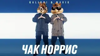 Элвин и Бурундуки - Чак Норрис// Alvin the Chipmunks Song // Galibri & Mavik - Чак Норрис