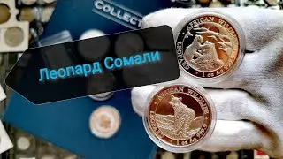 Леопарды Сомали. Серебряные инвестиционные монеты!