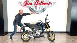 2023 Kawasaki Z125 - Great fun for everyone! - Complete In Depth Review