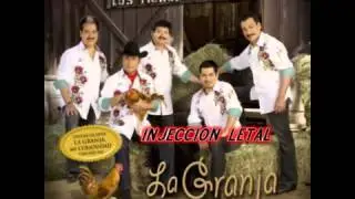 Los Tigres Del Norte cantan a Edgar Tamayo - Inyección Letal