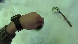 Ловля сига на 