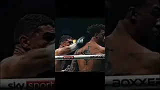 Perfect Boxing 🥊 🥷🏼 