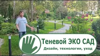 Видео журнал 