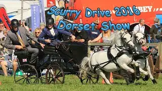 2016 Dorset Show Scurry driving