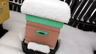 😵Капец! У меня снова зима!🥶