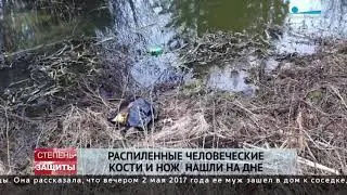 В водоеме у станции Войбокало нашли расчлененное тело женщины