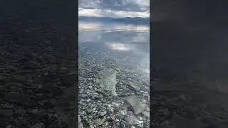 КАК ВАМ ВОДИЧКА!? #shorts #природа #nature #mongolia #монголия #хубсугул