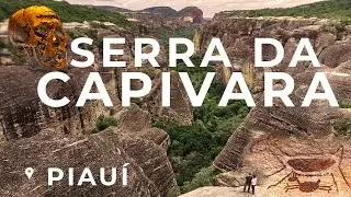 Destinos JEEP - Fotografia na Serra da Capivara - Piauí