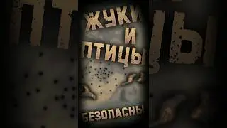 Существа вне комплекса - мирные (Lethal Company) 