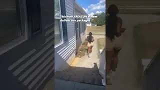 How delivery drivers seem to drop off packages at homes!