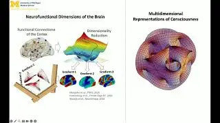 2024 TSC PLENARY 13  - DIMENSIONS, WAVEFUNCTIONS & SYMMETRY IN THE BRAIN