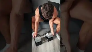 💯 Dream Dumbbells 