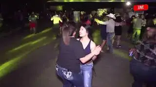PALOMASO CON BANDA ESPACIAL DE HOUSTON