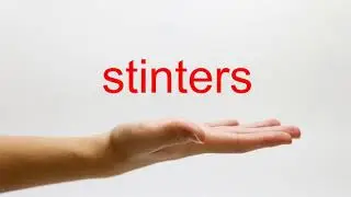 How to Pronounce stinters - American English